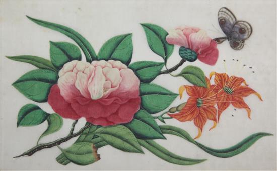 A set of four 19th century Chinese pith paper paintings of flowers, 10 x 7in. (5)